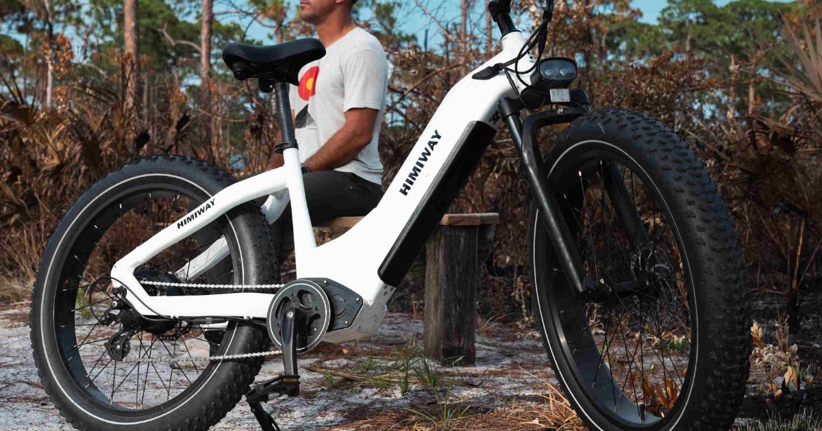 Himiway Zebra D5 Fat Tire EBike